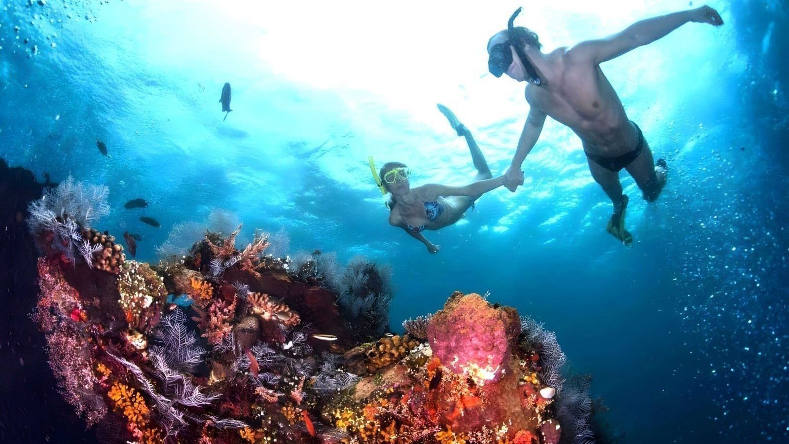 snorkeling blue lagoon